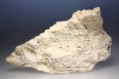 Kabuk rock kireçtaşı