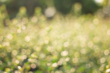 Bulanık yeşil ve turuncu