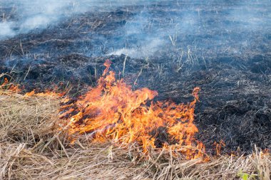 Yangınlar kuru sezonu