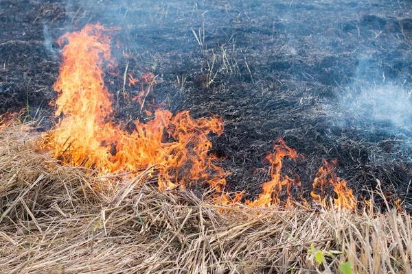 Yangınlar kuru sezonu