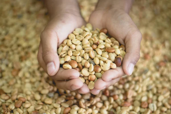 Kahve çekirdekleri ile değirmen bombardımanı önce