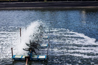 Oksijen için su ekleyerek