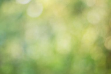 Yumuşak yeşil bokeh bulanık görüntü 