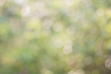 Yumuşak yeşil bokeh bulanık görüntü 