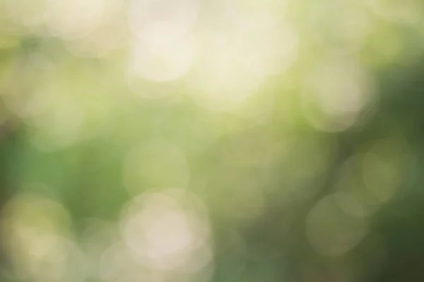 Suddig bild av mjuk grön bokeh — Stockfoto