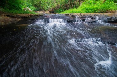 Ormandan akan şelaleler.