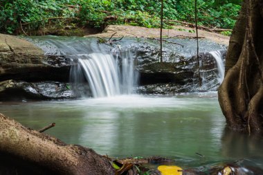 Ormandan akan şelaleler.