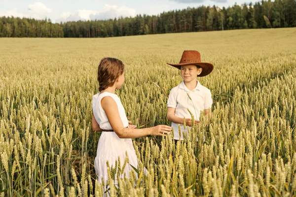 Två barn pojke och flicka undersöka öronen av majs på ett vetefält — Stockfoto