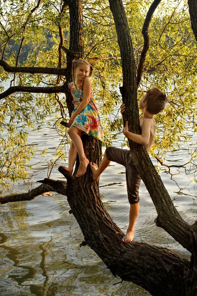 Неслухняний хлопчик і дівчинка, сидячи на гілці над водою, сміючись, розважаючись — стокове фото