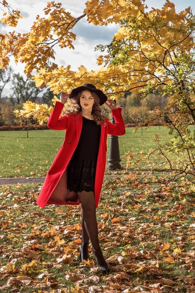 Девушка в осеннем парке стоит под сильным ветром и держит шляпу, чтобы она не улетела — стоковое фото