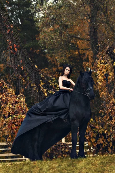 공포 무서운 동화 처럼 우울한 어두운 어두운 숲에 검은 말에 검은 마녀 여왕 말 — 스톡 사진