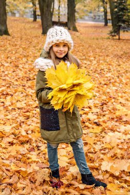 akçaağaç sarı bir buket bir kızla içinde beyaz kaşkollu bırakır ve düşen yapraklar bir halı üzerinde parkta kaba el örgü şapka duruyor