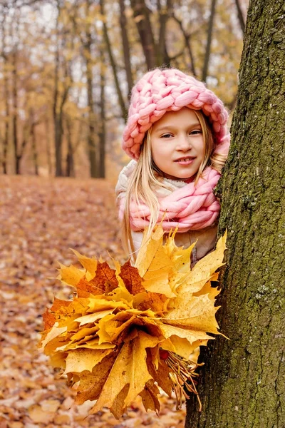 Мила дівчина в шарфі і капелюсі грубого рукоділля з букетом кленового листя, що визирає з-за дерева в холодному парку — стокове фото