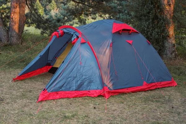 güneş ışığı altında bir ormandaki ağaçlar arasında bir kamp çadır ayarla