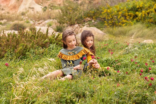 Дві Дівчини Ретро Вінтажних Сукнях Збирають Квіти Луговому Полі — стокове фото