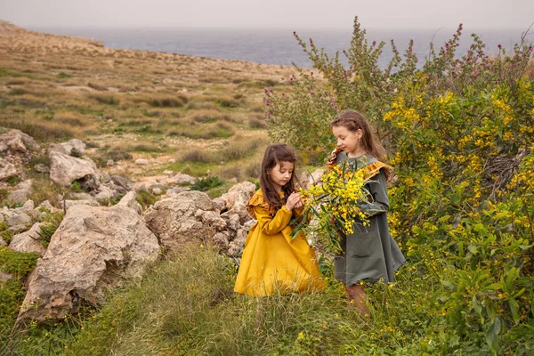on a rocky plateau, there are two vintage girls sisters friends are considering mimosa flowers near the rocky sea shore at stormy sky