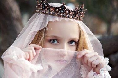 close portrait of the girl enchantress in the crown with a face covered with a veil and charming big eyes clipart