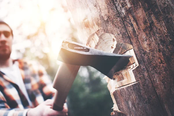 Strong lumberjack in a plaid shirt and hat with an ax in his hand chopping a tree in the woods — Stock Photo, Image