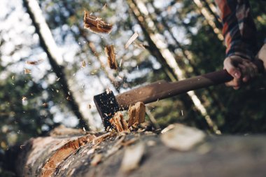 Acımasız oduncu keskin balta, farklı yönlere cips dağılım ile orman keser