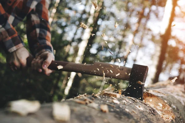 Ισχυρός ξυλοκόπος κρατά τσεκούρι και με τα δύο χέρια και κόβει μεγάλο δέντρο, τα τσιπ πετούν μακριά — Φωτογραφία Αρχείου