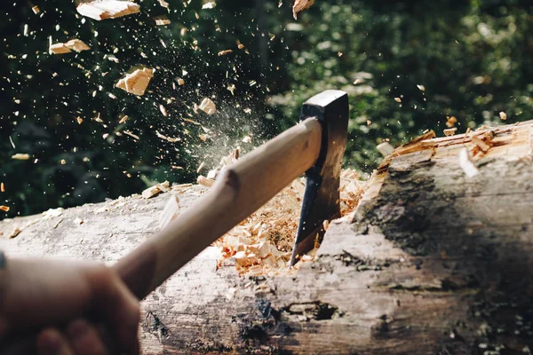 AX zbliżenie, drwal kotlet drewna w lesie — Zdjęcie stockowe