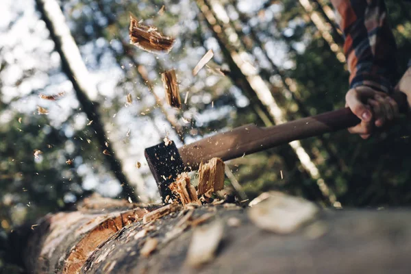 Acımasız oduncu keskin balta, farklı yönlere cips dağılım ile orman keser