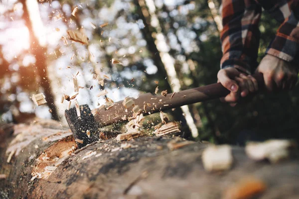 Dřevorubec v košili kotlety strom v lese s ostrým ax, bodový čipy v různých směrech. Sluneční světlo efekt — Stock fotografie
