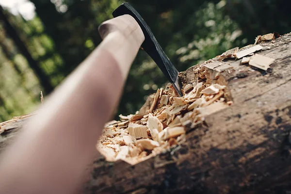 Sharp hacha de cerca sobresaliendo en el árbol grande. Árbol caído en el bosque con hacha y papas fritas —  Fotos de Stock