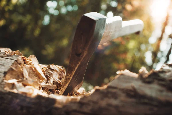 Feche o machado preso no tronco da árvore, lascas de madeira espalhadas. Fundo desfocado, efeito da luz solar — Fotografia de Stock