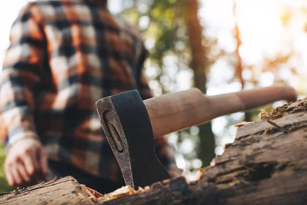 Ax sticks out in felled tree in forest, a blurred lumberjack in the background — Stock Photo, Image