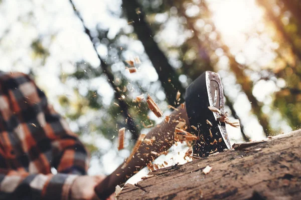 Ισχυρή ξυλοκόπος περικοπές δέντρο στο δάσος, ξύλινα τσιπ μύγα χώρια. Θολή φόντο — Φωτογραφία Αρχείου