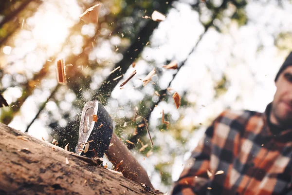 Leñador fuerte y brutal con hacha en las manos chuletas árbol en el bosque, astillas de madera vuelan aparte. Fondo borroso — Foto de Stock