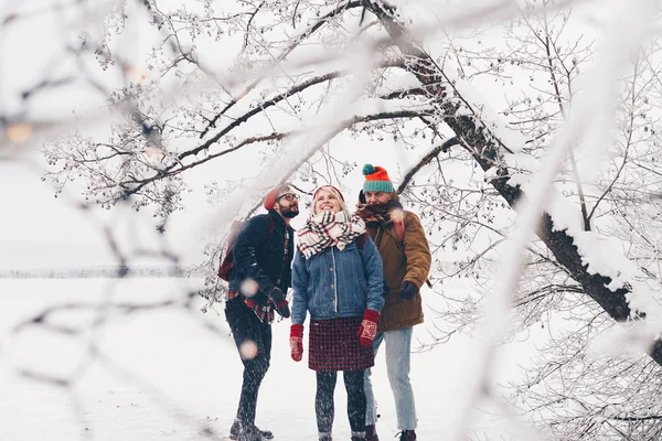 Glada sällskap av vänner promenader i vinter på naturen på semester. Grupp av tre hipsters att ha kul på en snöig sjö — Stockfoto