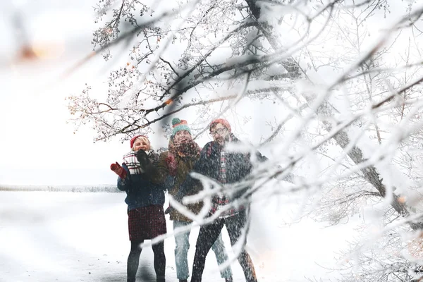 Компания Друзей Веселится Наслаждается Снегопадом Группа Мужчин Женщин Гуляющих Зимнему — стоковое фото