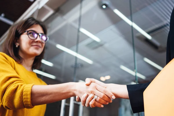 Negocios Señora Asociación Apretón Manos Concepto Reunión Mujer Negocios Guapo — Foto de Stock