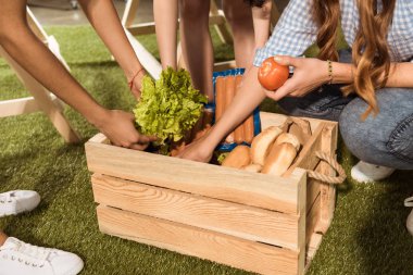 Piknik sepeti ile genç arkadaşlar 
