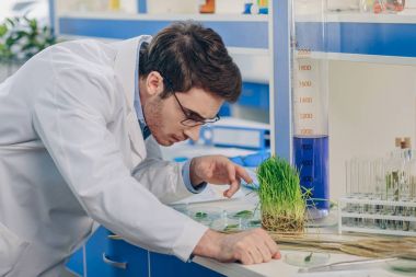 biologist with grass in laboratory clipart