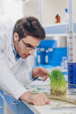 biologist working with grass in laboratory clipart