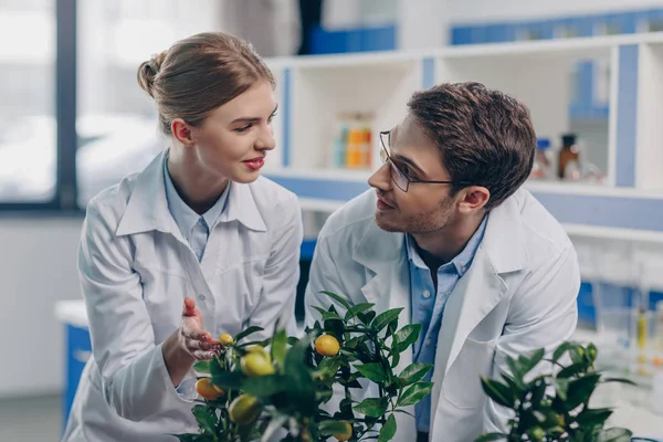 Biologists with lemon plants in laboratory — Stock Photo, Image