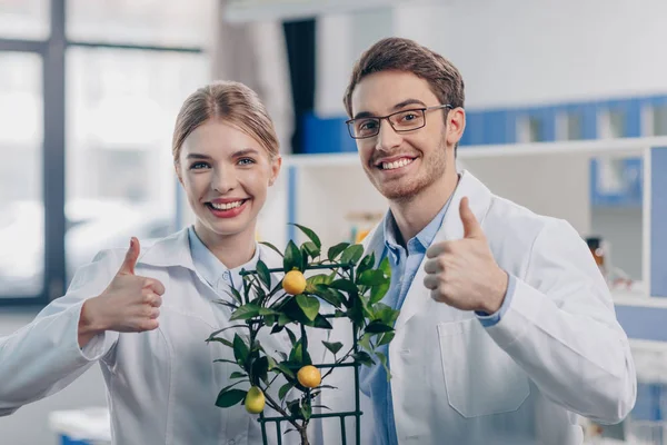 Biologists with lemon plant — Stock Photo, Image