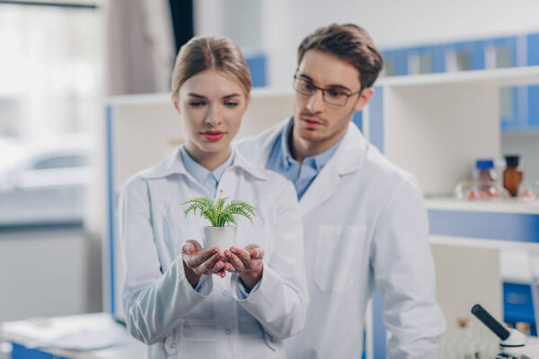 chemists with fern plant 