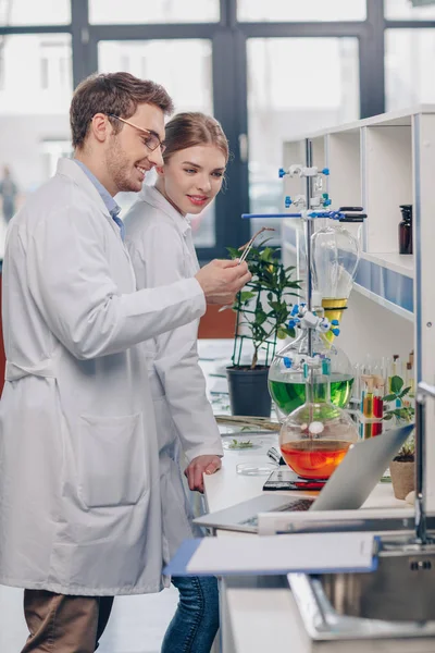 Biologen werken in laboratorium — Stockfoto
