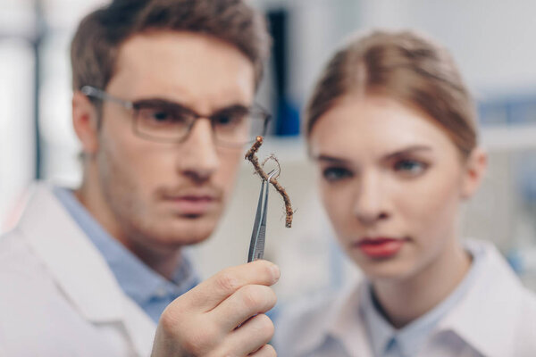 биологи, работающие с корнями
