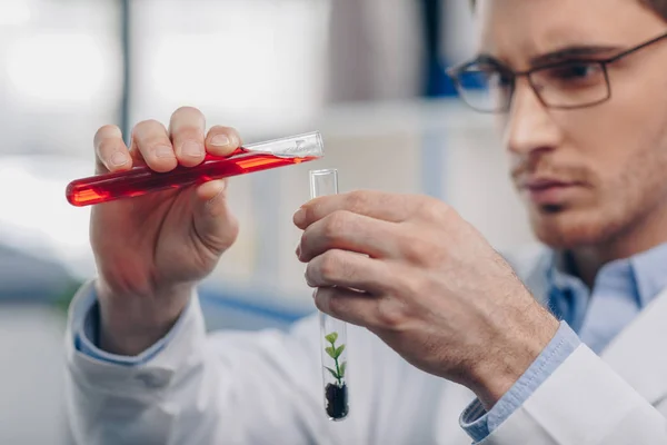 Pouring reagent into flask with plant — Stock Photo, Image