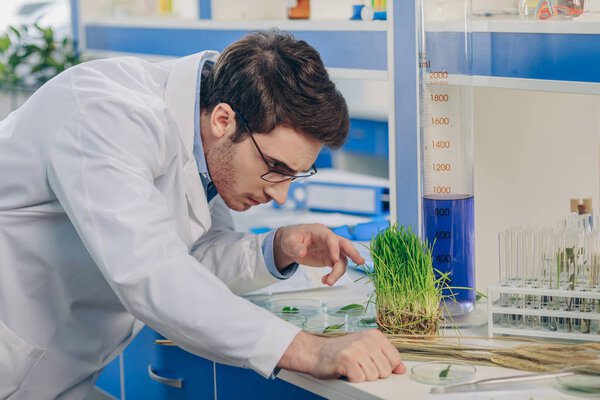 биолог с травой в лаборатории

