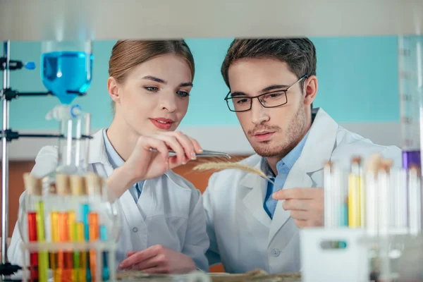 Biologen werken in het lab — Gratis stockfoto