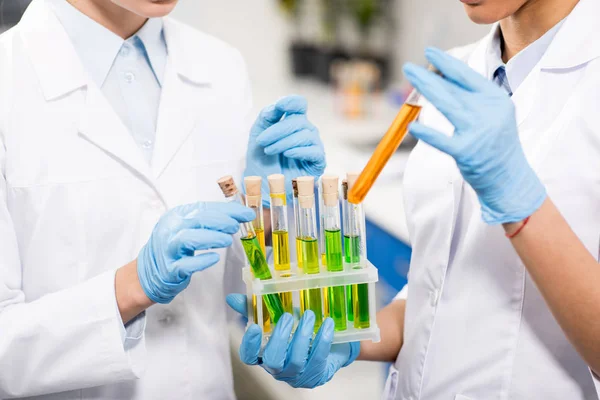 Scientists working with test tubes — Stock Photo