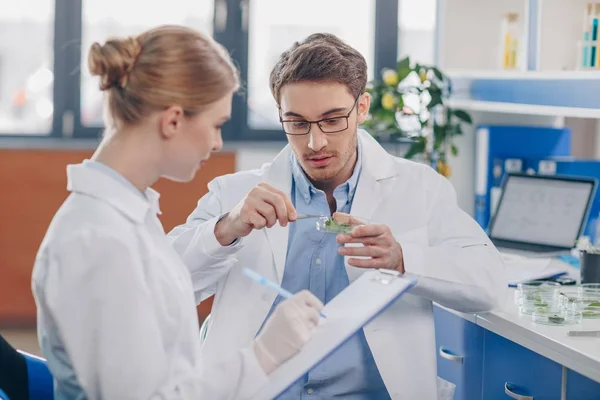 Biologistes avec boîte de Pétri — Photo de stock