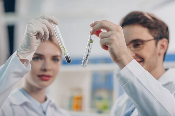 Biologists looking at flasks with plant — Stock Photo