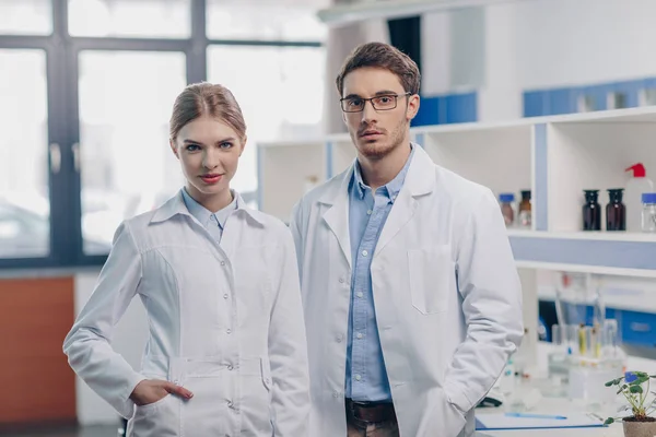 Colegas que trabajan en laboratorio - foto de stock